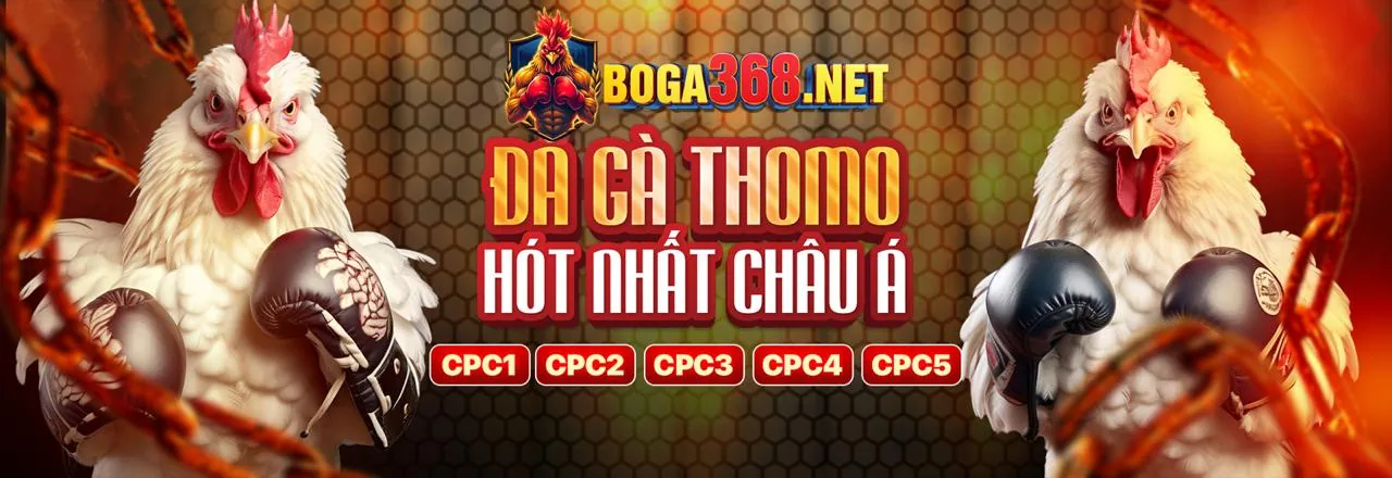 Đá Gà Trực Tiếp SV388 Live