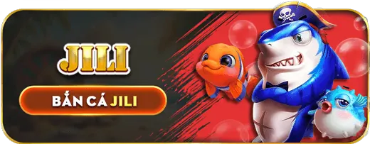 Cá cược bóng rổ 88new